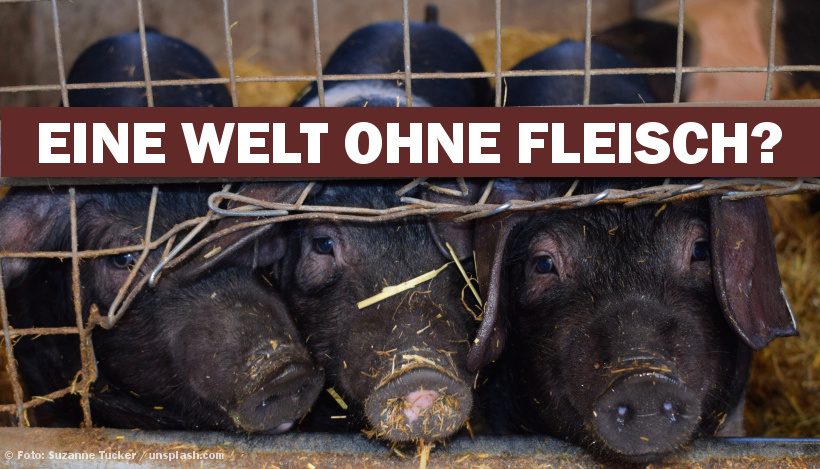 THE END OF MEAT – Eine Welt ohne Fleisch? THE END OF MEAT – Eine Welt ohne Fleisch?