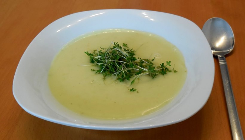 Tierleidfrei genießen: Topinambur-Suppe Tierleidfrei genießen: Topinambur-Suppe