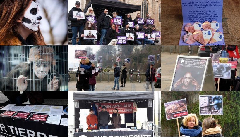 WHAT A WEEK: Von Infostand über Ponykarussells bis zu Anti-Pelz-Aktion WHAT A WEEK: Von Infostand über Ponykarussells bis zu Anti-Pelz-Aktion