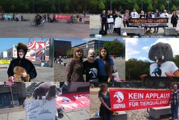 WHAT A WEEK: Von Mahnwache bis jede Menge kommende Aktionen WHAT A WEEK: Von Mahnwache bis jede Menge kommende Aktionen