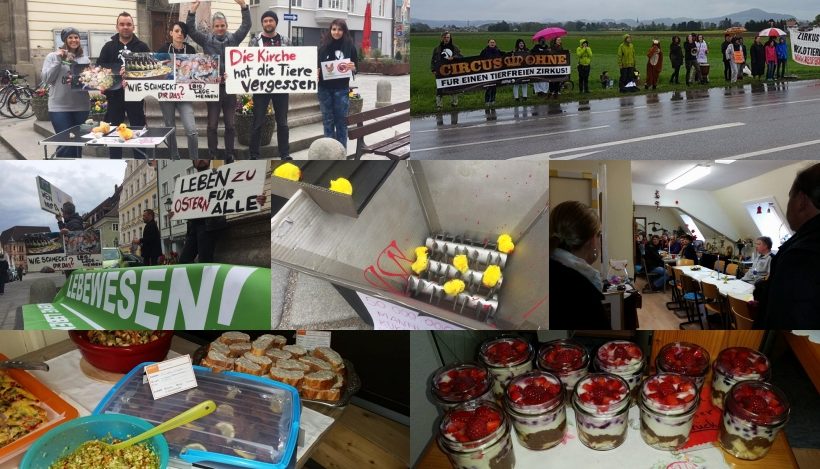 WHAT A WEEK: Von einer Oster-Kreativaktion bis zum veganen Brunch WHAT A WEEK: Von einer Oster-Kreativaktion bis zum veganen Brunch