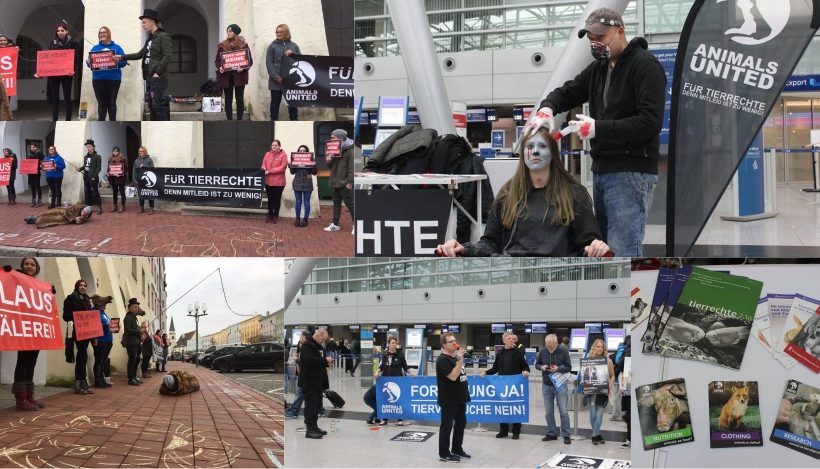 WHAT A WEEK: Von Zirkusdemo bis Mahnwache im Flughafen WHAT A WEEK: Von Zirkusdemo bis Mahnwache im Flughafen