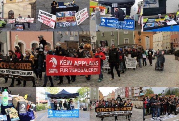 WHAT A WEEK: Von Laufdemo bis Aktionen zum Thema Tierversuche WHAT A WEEK: Von Laufdemo bis Aktionen zum Thema Tierversuche