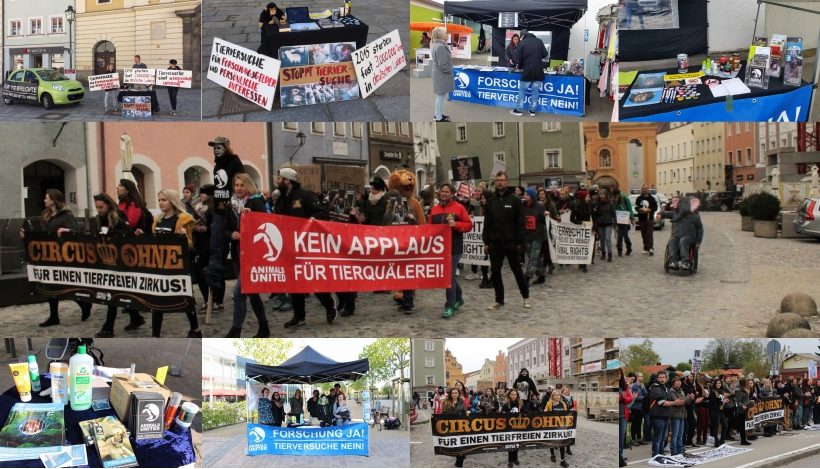 WHAT A WEEK: Von Laufdemo bis Aktionen zum Thema Tierversuche WHAT A WEEK: Von Laufdemo bis Aktionen zum Thema Tierversuche