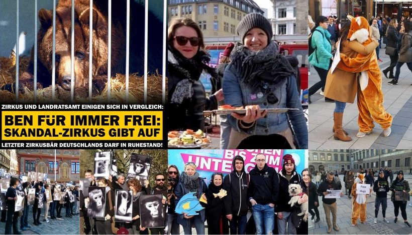 WHAT A WEEK: Von endgültiger Freiheit für Zirkusbär Ben bis blutige Festtagstafel WHAT A WEEK: Von endgültiger Freiheit für Zirkusbär Ben bis blutige Festtagstafel