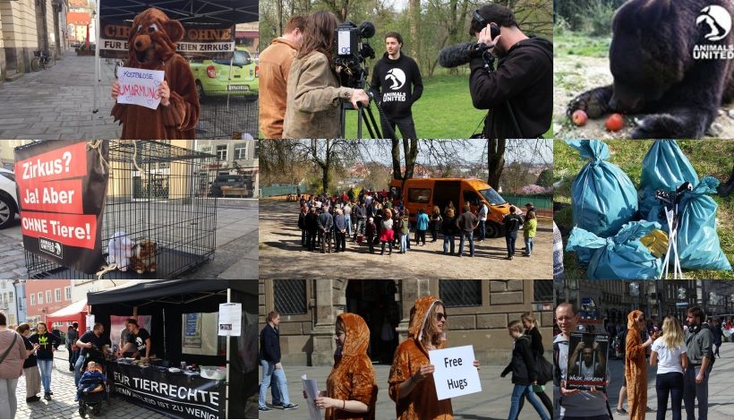 WHAT A WEEK: Von TV-Beitrag zu Ben bis Riesenflursäuberung WHAT A WEEK: Von TV-Beitrag zu Ben bis Riesenflursäuberung