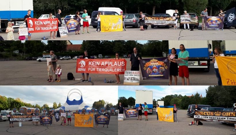 WHAT A WEEK: Von Mahnwache bis kommende Aktionen WHAT A WEEK: Von Mahnwache bis kommende Aktionen