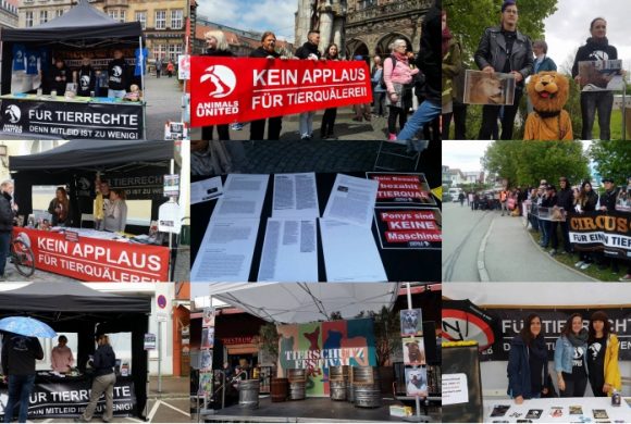 WHAT A WEEK: Von Infoständen bis stiller Protest vor Zirkus Krone WHAT A WEEK: Von Infoständen bis stiller Protest vor Zirkus Krone