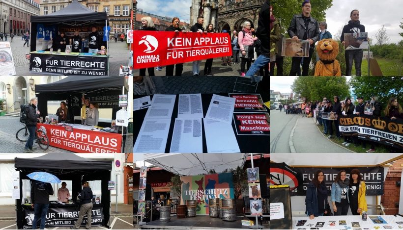 WHAT A WEEK: Von Infoständen bis stiller Protest vor Zirkus Krone WHAT A WEEK: Von Infoständen bis stiller Protest vor Zirkus Krone