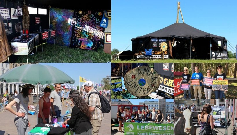 WHAT A WEEK: Vom Wildpferdefang bis Infostand auf dem Heim.ART WHAT A WEEK: Vom Wildpferdefang bis Infostand auf dem Heim.ART