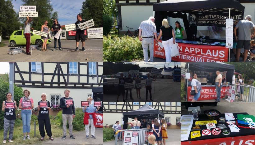 WHAT A WEEK: Von Rhodos Hunde bis Pony-Power WHAT A WEEK: Von Rhodos Hunde bis Pony-Power