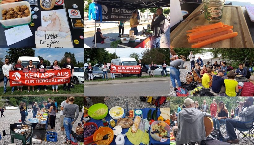 WHAT A WEEK: Von Infoaktion bis Sommerfest WHAT A WEEK: Von Infoaktion bis Sommerfest