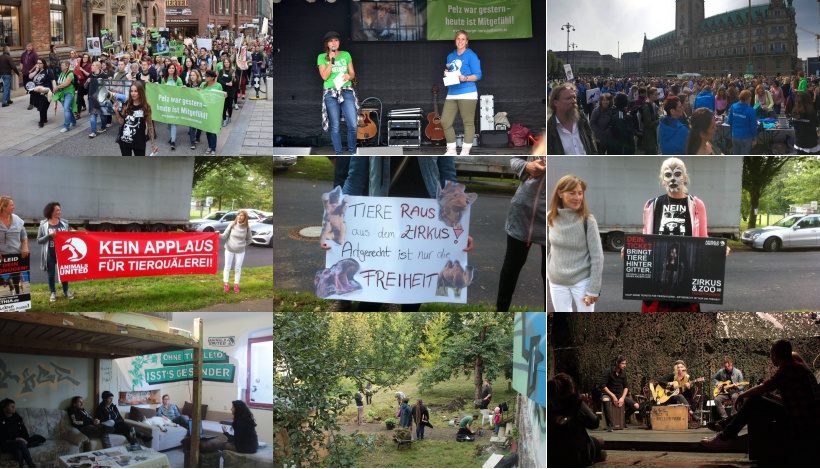 WHAT A WEEK: Von Großdemo bis veganes Fest WHAT A WEEK: Von Großdemo bis veganes Fest