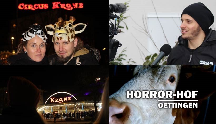 WHAT A WEEK: Von Kreativaktion zur Premiere bis Horror-Hof WHAT A WEEK: Von Kreativaktion zur Premiere bis Horror-Hof