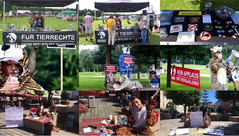 WHAT A WEEK: Von Aktionen zum “Tag des Tigers” bis Tierheimfest WHAT A WEEK: Von Aktionen zum “Tag des Tigers” bis Tierheimfest