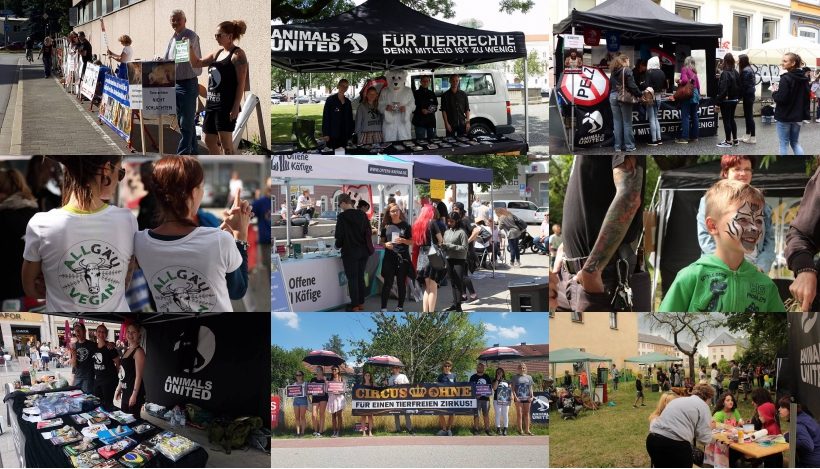 WHAT A WEEK: Von 1. veganen Straßenfest bis zu stillem Zirkus-Protest WHAT A WEEK: Von 1. veganen Straßenfest bis zu stillem Zirkus-Protest