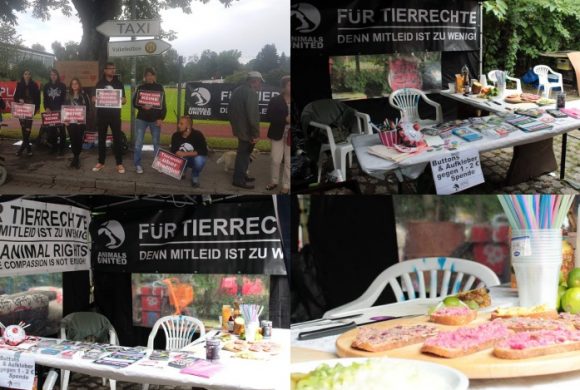 WHAT A WEEK: Von Infoständen über Tierrechte und stillen Protesten WHAT A WEEK: Von Infoständen über Tierrechte und stillen Protesten