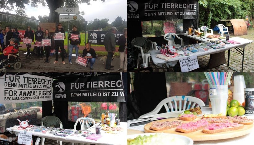 WHAT A WEEK: Von Infoständen über Tierrechte und stillen Protesten WHAT A WEEK: Von Infoständen über Tierrechte und stillen Protesten