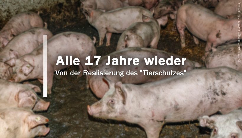 Alle 17 Jahre wieder – von der Realisierung des “Tierschutzes” Alle 17 Jahre wieder – von der Realisierung des “Tierschutzes”