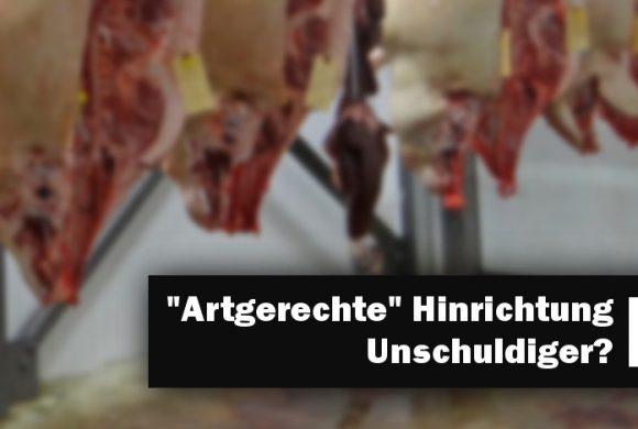 “Artgerechte” Hinrichtung Unschuldiger? Unmöglich. “Artgerechte” Hinrichtung Unschuldiger? Unmöglich.