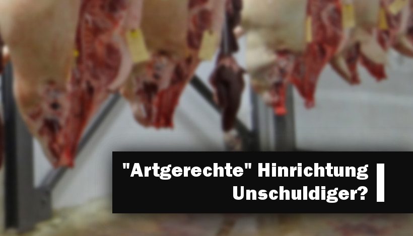 “Artgerechte” Hinrichtung Unschuldiger? Unmöglich. “Artgerechte” Hinrichtung Unschuldiger? Unmöglich.