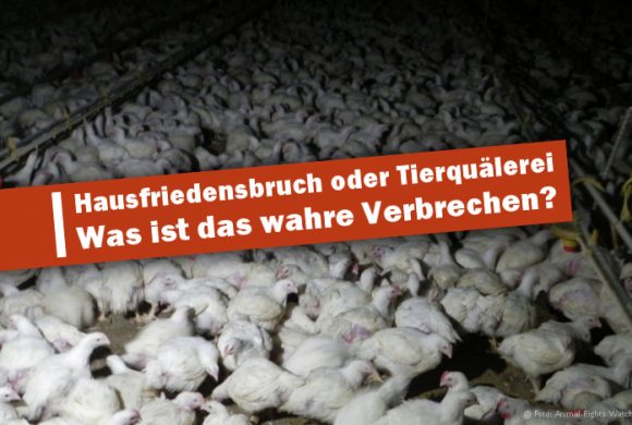 Aufdeckung von Missbrauch ist KEIN Verbrechen! Aufdeckung von Missbrauch ist KEIN Verbrechen!
