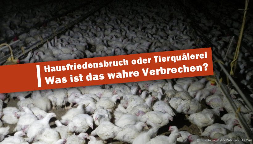 Aufdeckung von Missbrauch ist KEIN Verbrechen! Aufdeckung von Missbrauch ist KEIN Verbrechen!