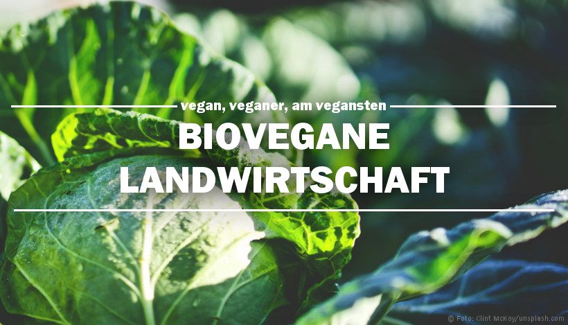 Vegan, veganer, am vegansten: Biovegane Landwirtschaft Vegan, veganer, am vegansten: Biovegane Landwirtschaft