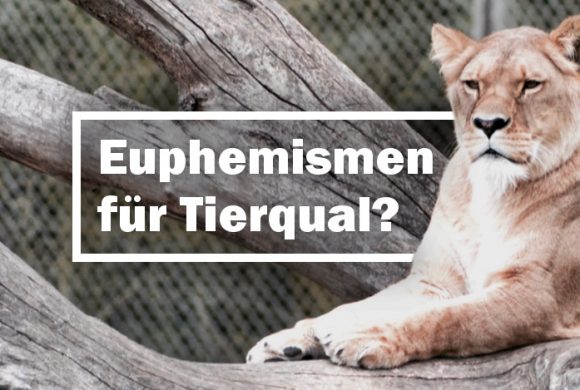 Zoo: Artenschutz & Bildung – Euphemismen für Tierqual? Zoo: Artenschutz & Bildung – Euphemismen für Tierqual?