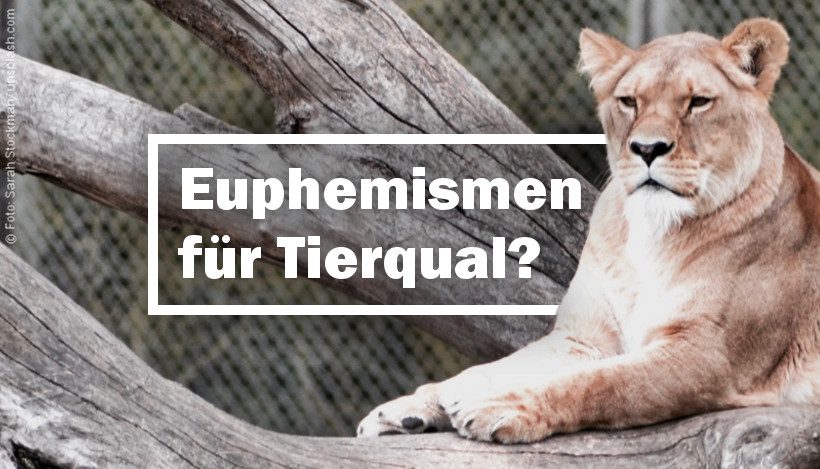 Zoo: Artenschutz & Bildung – Euphemismen für Tierqual? Zoo: Artenschutz & Bildung – Euphemismen für Tierqual?
