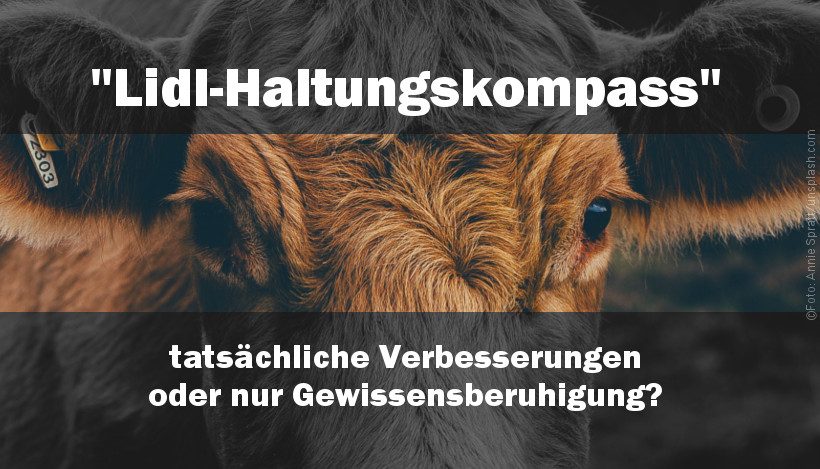 “Haltungskompass” bei Lidl für mehr “Tierwohl”? “Haltungskompass” bei Lidl für mehr “Tierwohl”?