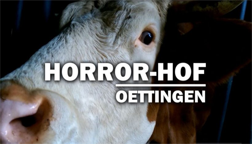 Horror-Hof von Oettingen Horror-Hof von Oettingen
