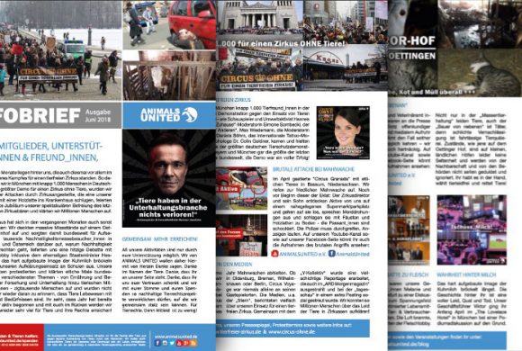 Unser Infobrief 2018 ist raus! Unser Infobrief 2018 ist raus!