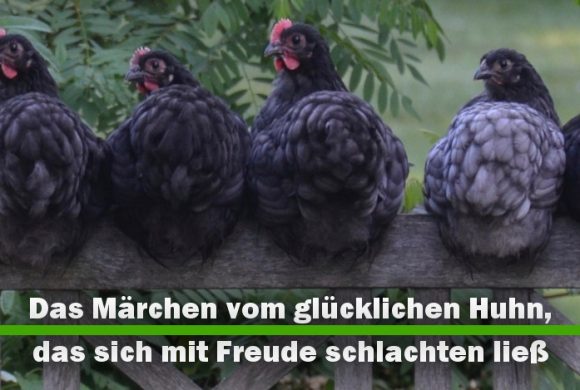 Das Märchen vom glücklichen Huhn, das sich mit Freude schlachten ließ Das Märchen vom glücklichen Huhn, das sich mit Freude schlachten ließ