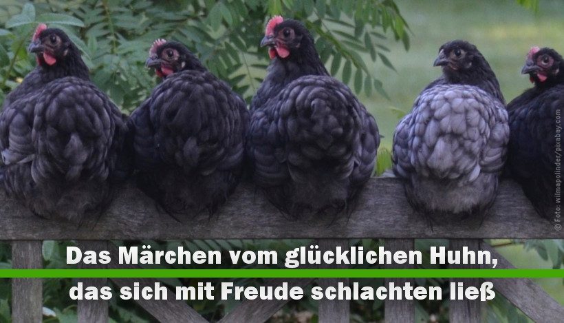 Das Märchen vom glücklichen Huhn, das sich mit Freude schlachten ließ Das Märchen vom glücklichen Huhn, das sich mit Freude schlachten ließ