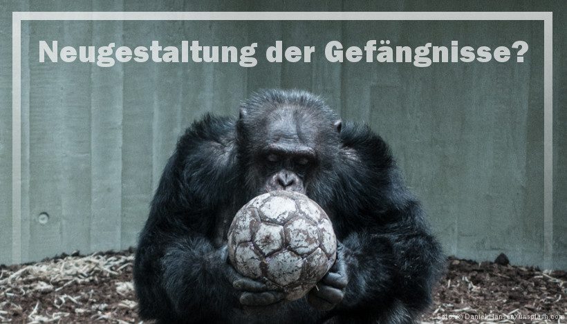Neugestaltung der Gefängnisse? – Reformbestrebungen der Zoos Neugestaltung der Gefängnisse? – Reformbestrebungen der Zoos