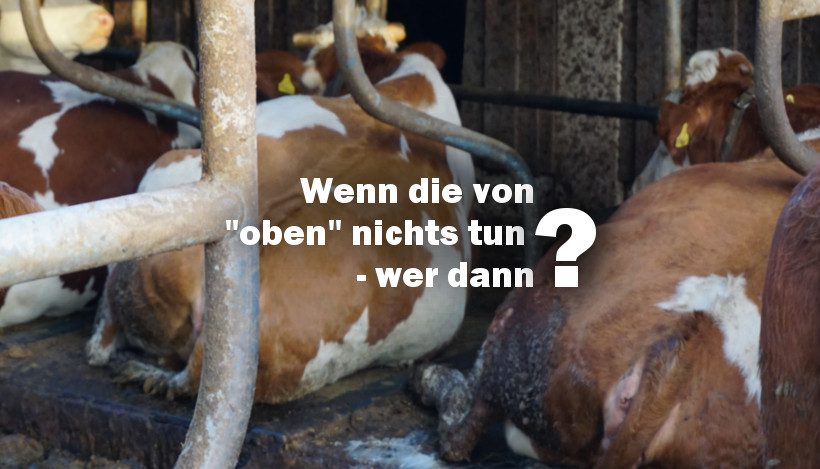 Wenn die von “oben” nichts tun, wer dann? Wenn die von “oben” nichts tun, wer dann?