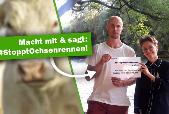 Sagt #StopptOchsenrennen! Online-Aktion Sagt #StopptOchsenrennen! Online-Aktion