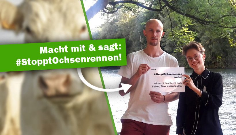 Sagt #StopptOchsenrennen! Online-Aktion Sagt #StopptOchsenrennen! Online-Aktion