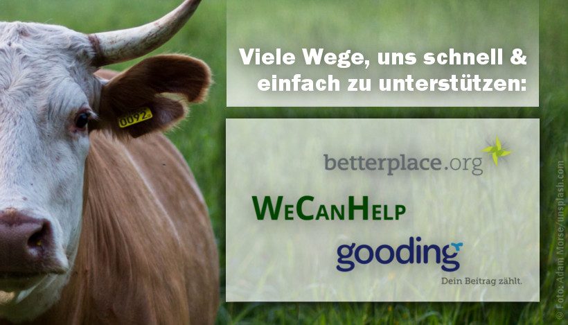 Zahlreiche Möglichkeiten, unsere Arbeit zu unterstützen! Zahlreiche Möglichkeiten, unsere Arbeit zu unterstützen!
