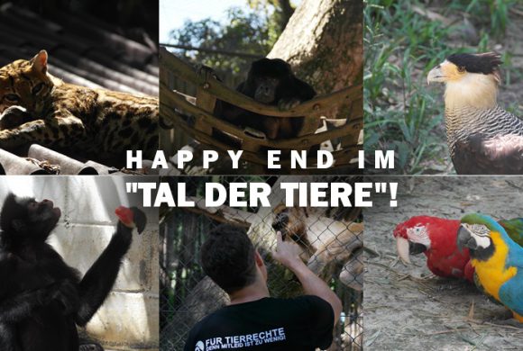 HAPPY END FÜR UNSERE WILDTIERE! HAPPY END FÜR UNSERE WILDTIERE!