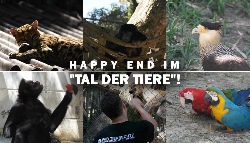 HAPPY END FÜR UNSERE WILDTIERE! HAPPY END FÜR UNSERE WILDTIERE!