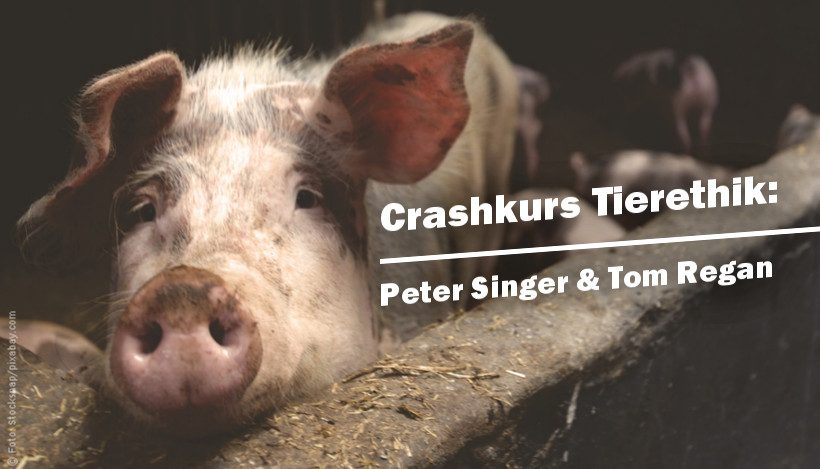 Crashkurs Tierethik: Tom Regan & Peter Singer Crashkurs Tierethik: Tom Regan & Peter Singer