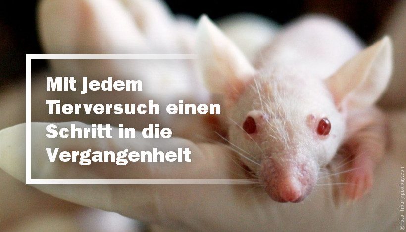 Mit jedem Tierversuch einen Schritt in die Vergangenheit Mit jedem Tierversuch einen Schritt in die Vergangenheit