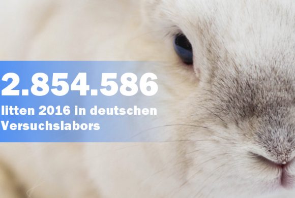 Knapp drei Millionen Tote für den “medizinischen Fortschritt” Knapp drei Millionen Tote für den “medizinischen Fortschritt”
