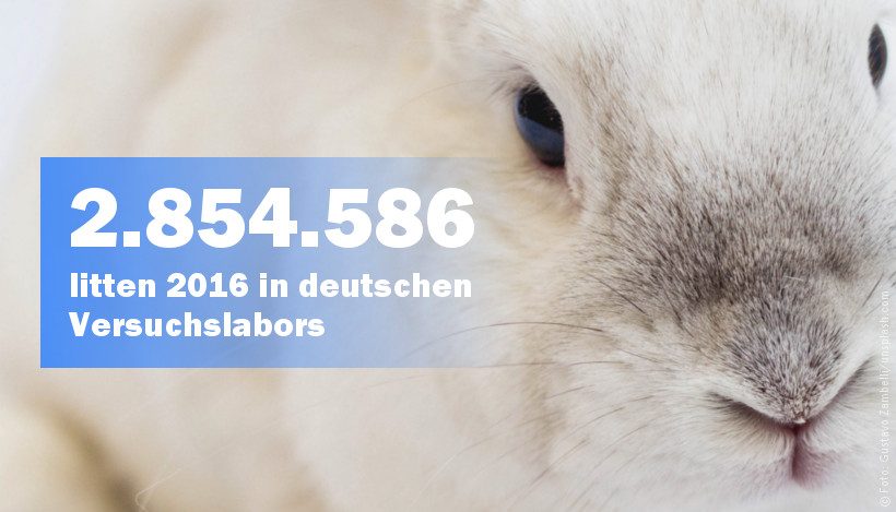 Knapp drei Millionen Tote für den “medizinischen Fortschritt” Knapp drei Millionen Tote für den “medizinischen Fortschritt”
