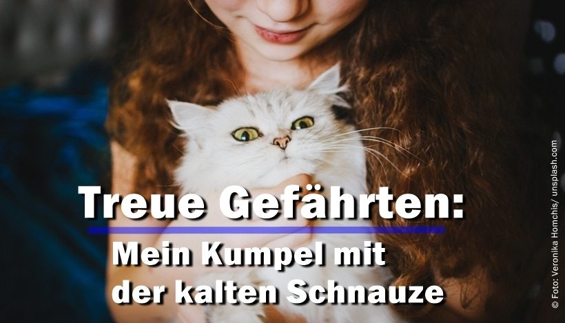 Treue Gefährten: Mein Kumpel mit der kalten Schnauze Treue Gefährten: Mein Kumpel mit der kalten Schnauze