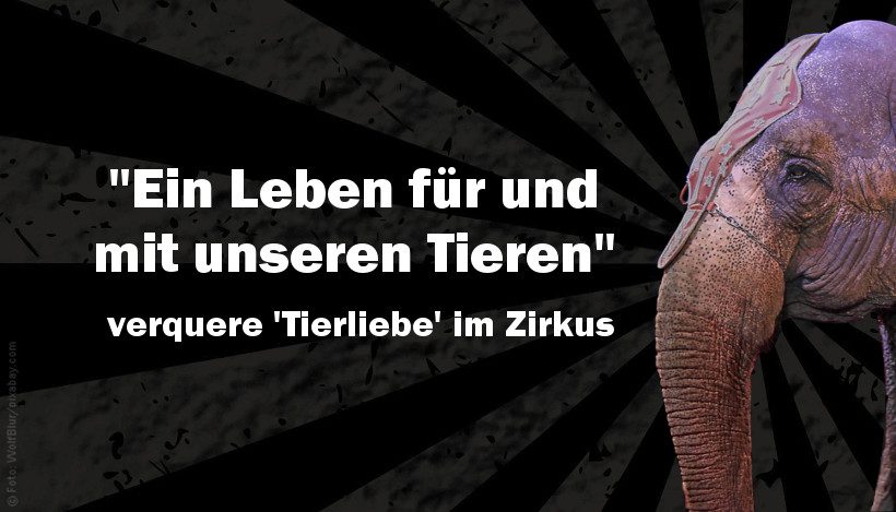“Ein Leben für und mit unseren Tieren” – verquere ‘Tierliebe’ im Zirkus “Ein Leben für und mit unseren Tieren” – verquere ‘Tierliebe’ im Zirkus