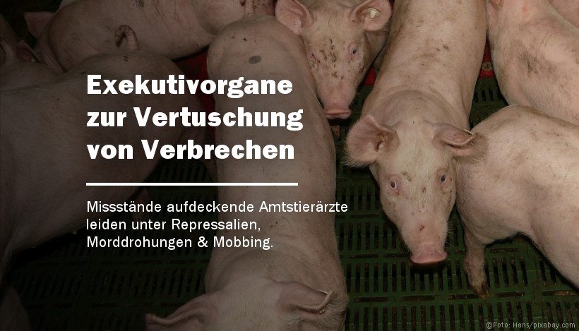 Veterinärämter – Exekutivorgane zur Vertuschung von Verbrechen? Veterinärämter – Exekutivorgane zur Vertuschung von Verbrechen?