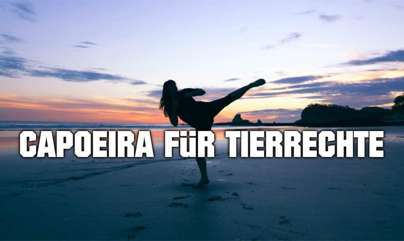 Capoeira für den guten Zweck Capoeira für den guten Zweck